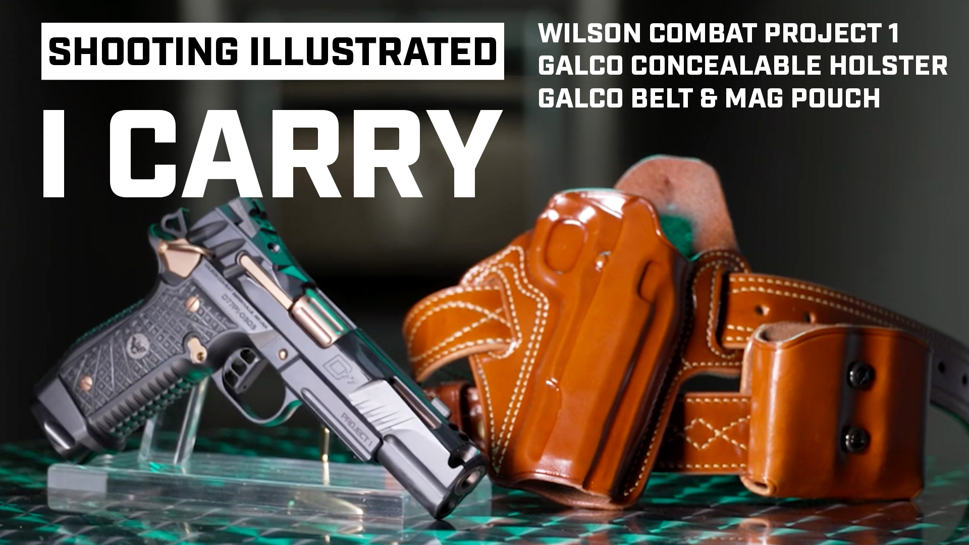 Wilson Combat Division 77 Project 1