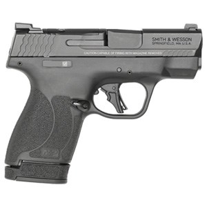 A gun for concealed carry