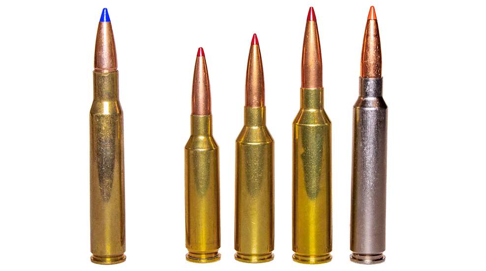 .30-’06 Sprg. ammo