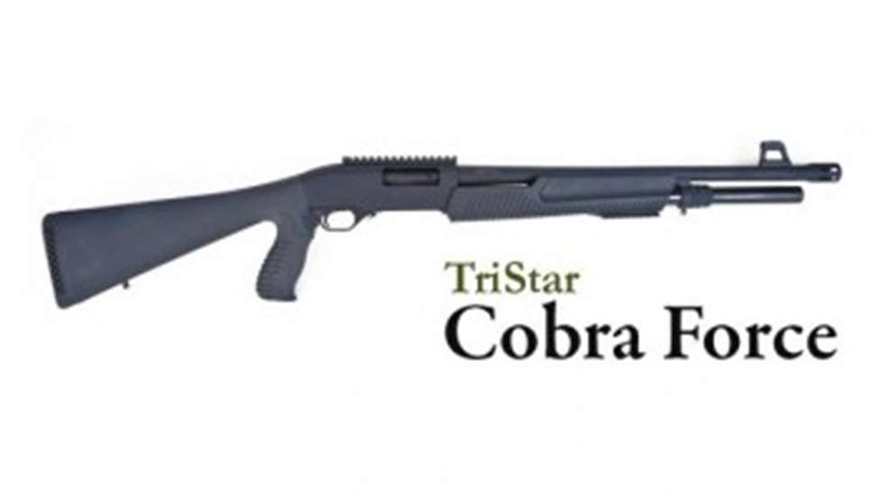 cobra-354x200.jpg