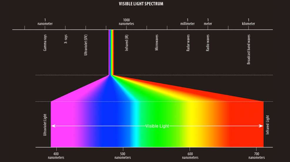 thecolor.jpg