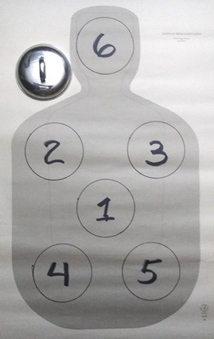 Precision target