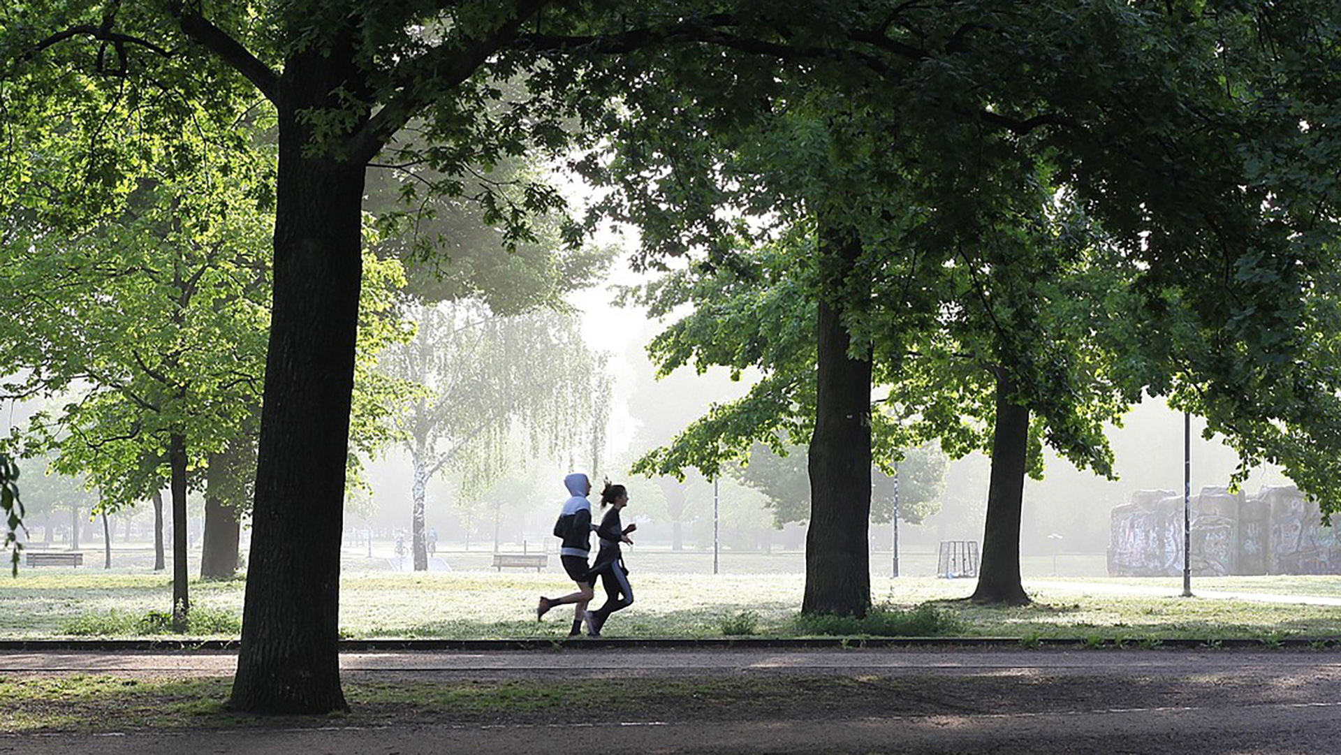 How Fast Can You Run? How Fast Can You Run?