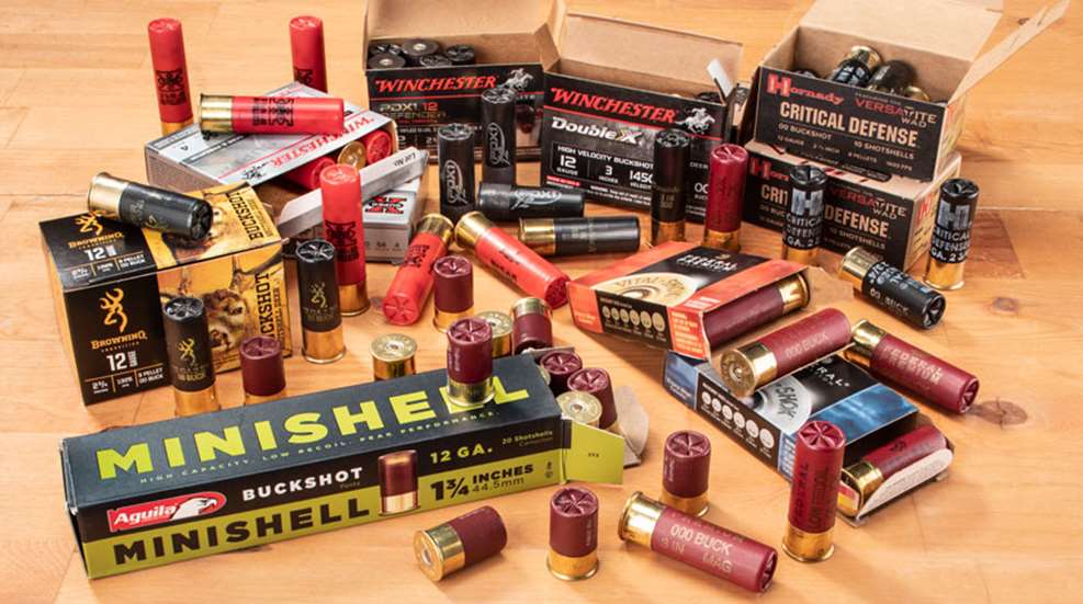 buckshot.jpg