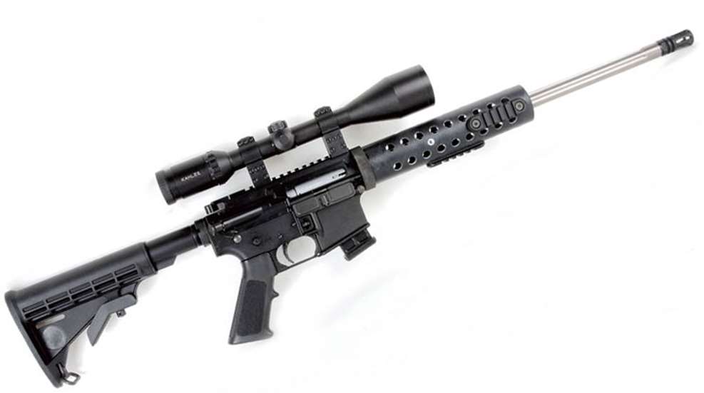 17-hmr.jpg
