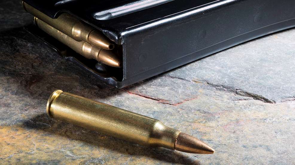 Ammunition loose and in a magazine