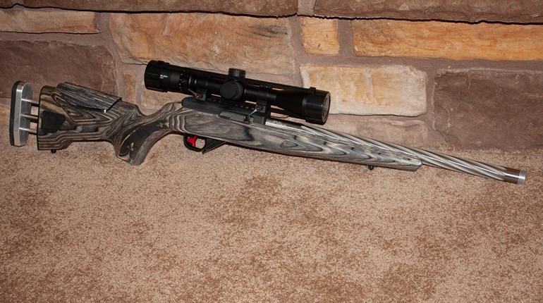 Taking Stock of Your Rifle’s Appearance | An Official Journal Of The NRA