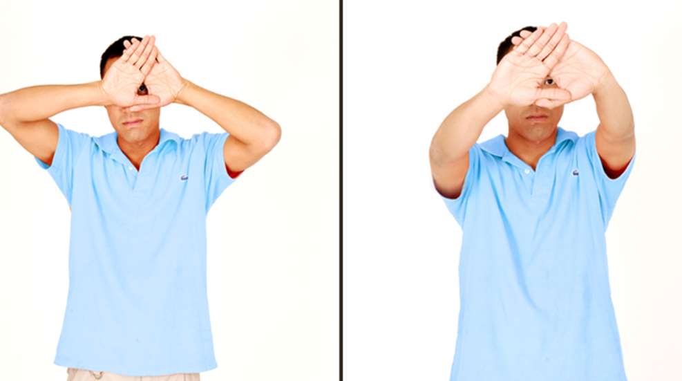 eyedominance.jpg