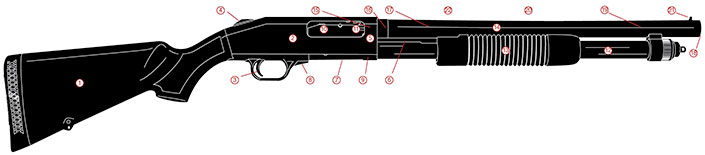 Shotgun diagram