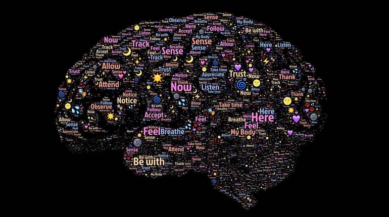 Diminished Returns | An Official Journal Of The NRA