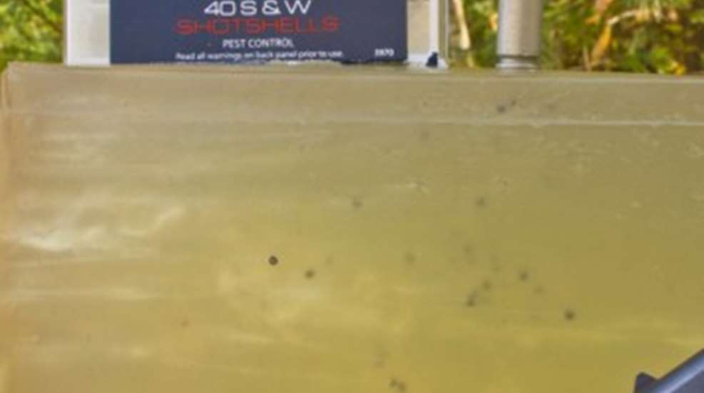40-sw-354x200.jpg