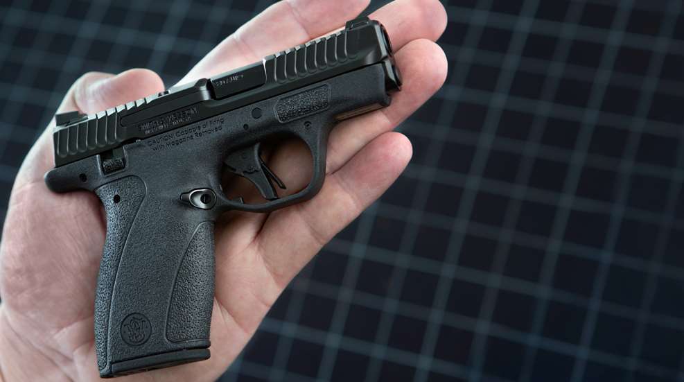 Smith & Wesson Bodyguard 2.0