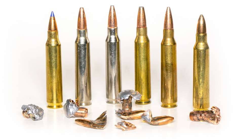 .223 Rem. projectiles