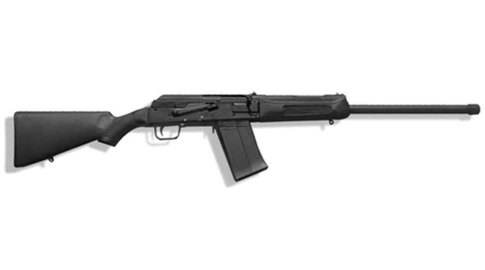 saiga.jpg