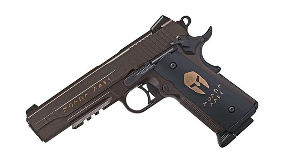 sig-sauer-1911-spartan-bb-pistol-airgun-f.jpg