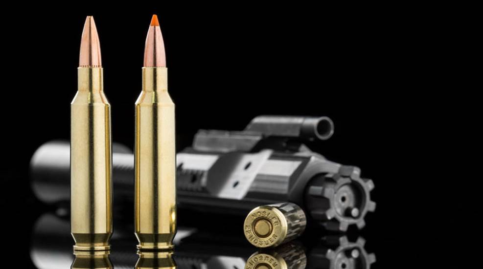 22nosler.jpg