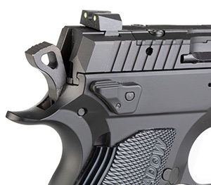 rear of pistol
