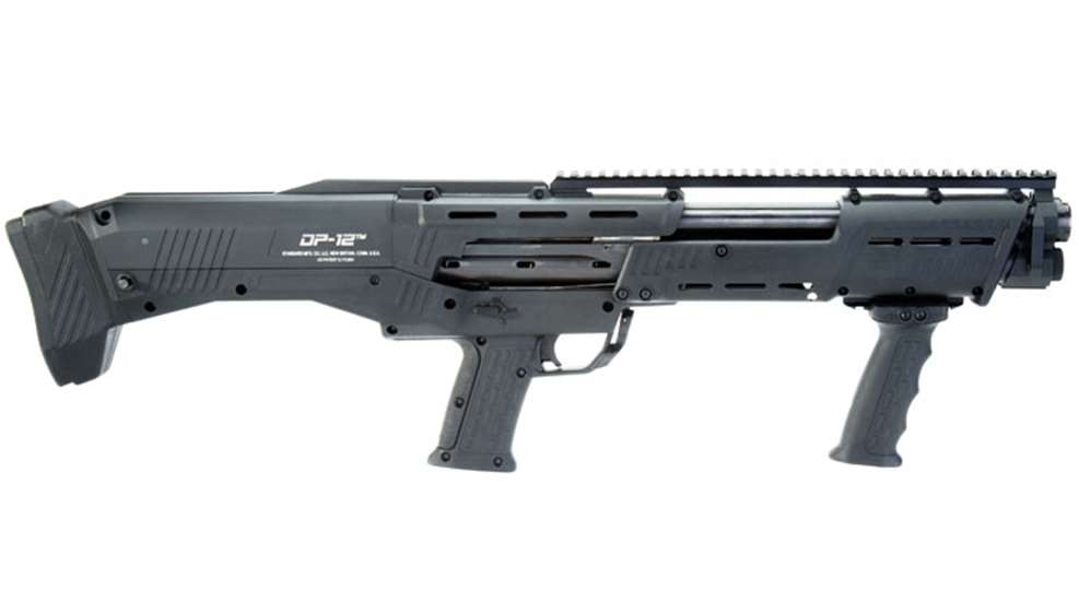 dp12.jpg