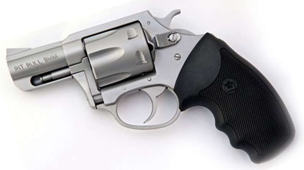 pitbull9mm.jpg