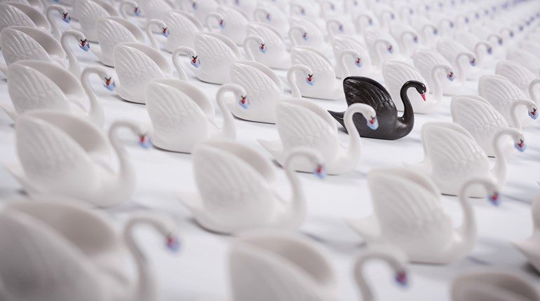 Black Swans, Severity and Probability | An Official Journal Of The NRA