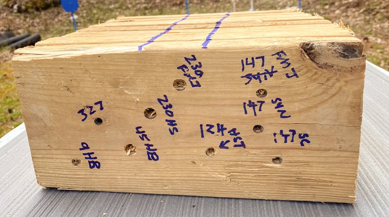 How Penetration and Sectional Density Affect Terminal Performance | An Official Journal Of The NRA