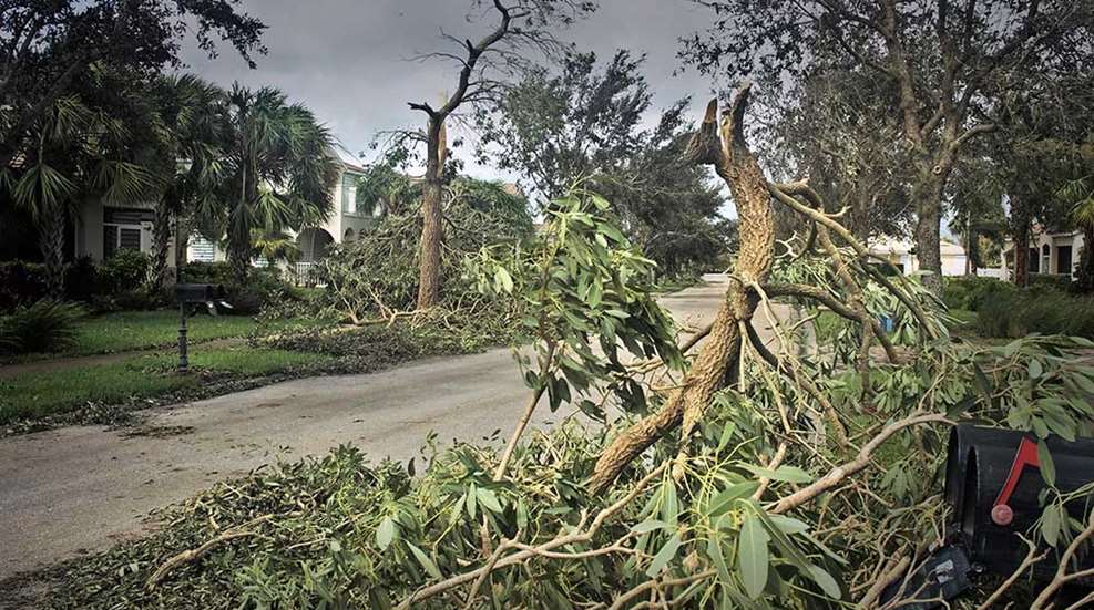 surviving-hurricane-irma-preparations-f.jpg