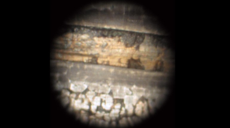 Tech Wisdom: The Bore is the Chore | An Official Journal Of The NRA