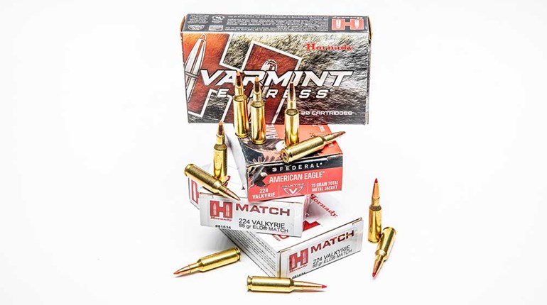 5 Top Loads for the 224 Valkyrie | An Official Journal Of The NRA