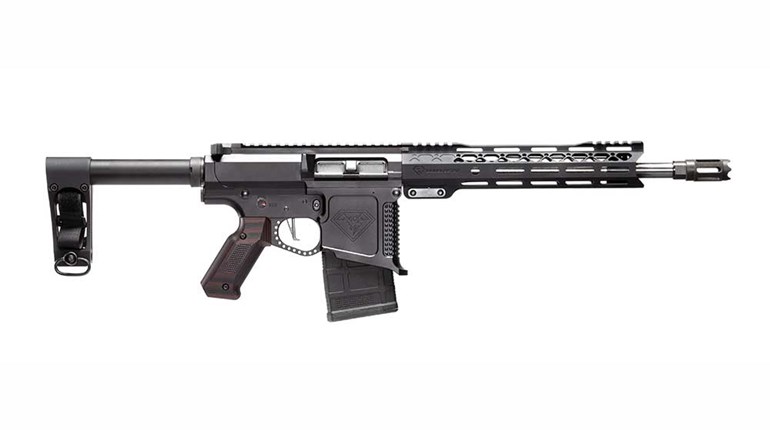 New for 2019: DoubleStar STAR10-P | An Official Journal Of The NRA