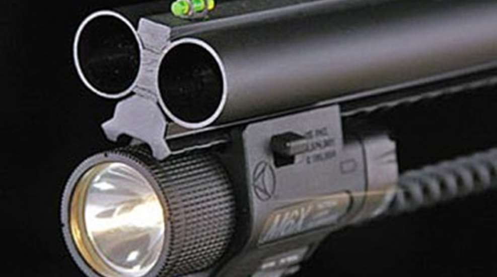 gn_sg_stoeger_double_defense-354x200.jpg