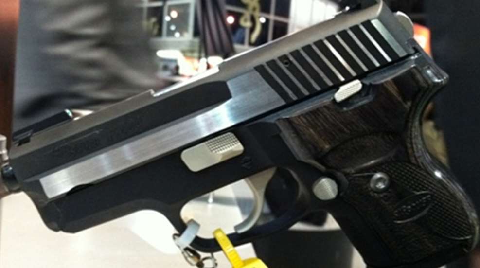 p224.jpg