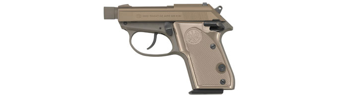 Beretta Tomcat Covert