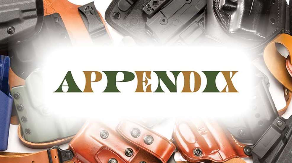 appendix_holsterhead.jpg