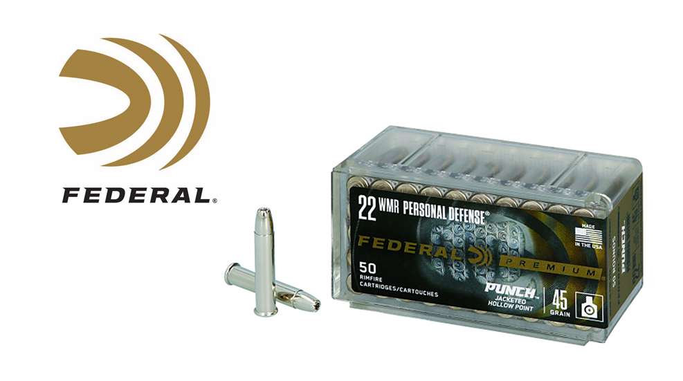 22 WMR Punch