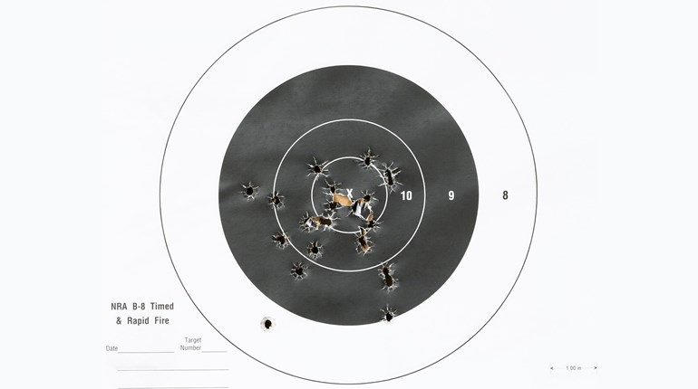 Updating The "Pie Chart" Target | An Official Journal Of The NRA