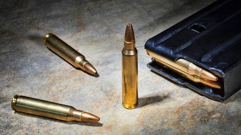 Standard Capacity Magazines are the Overwhelming Choice for Gun Owners | An Official Journal Of The NRA