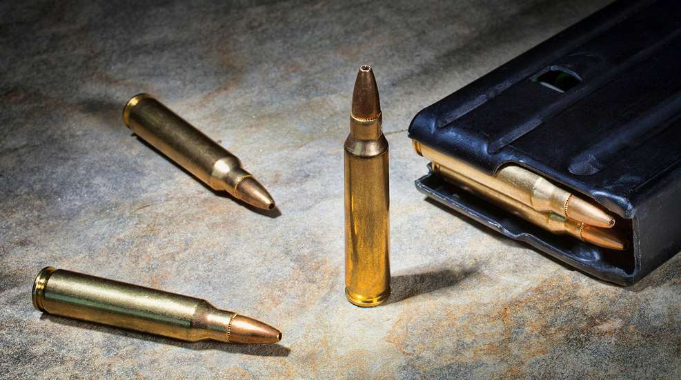 Standard capacity magazines
