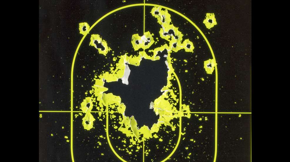 target hit with shotshells