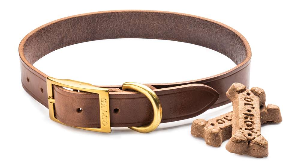 Galco’s new Dog Collar
