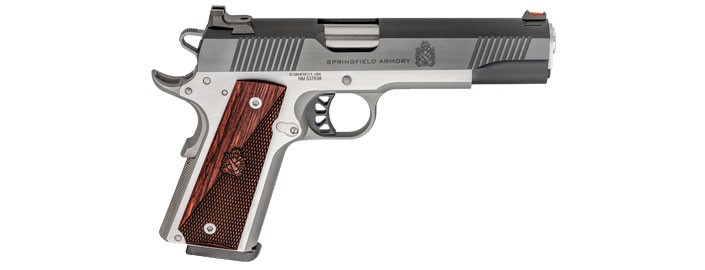 Springfield Armory  Ronin 10 mm