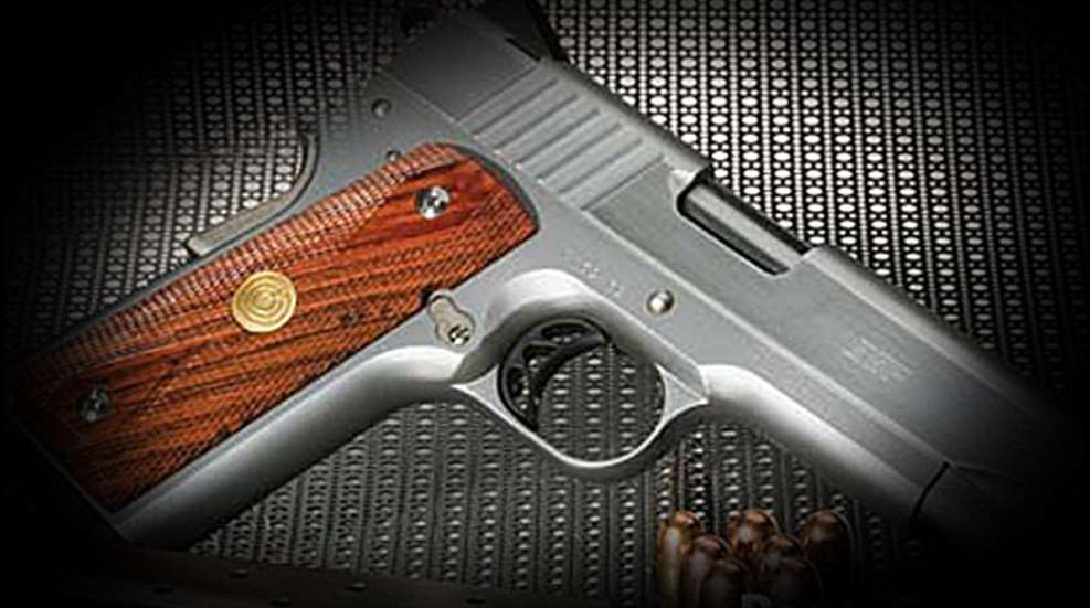 gn_sah_paraordnance_pxt_1911_ssp_gunrights.jpg