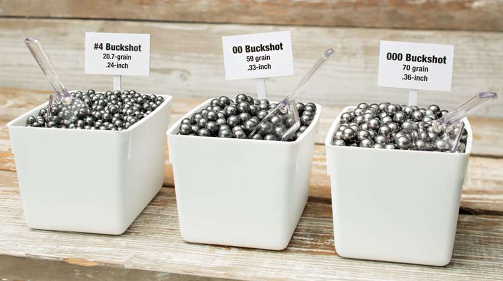 bucksdt.jpg