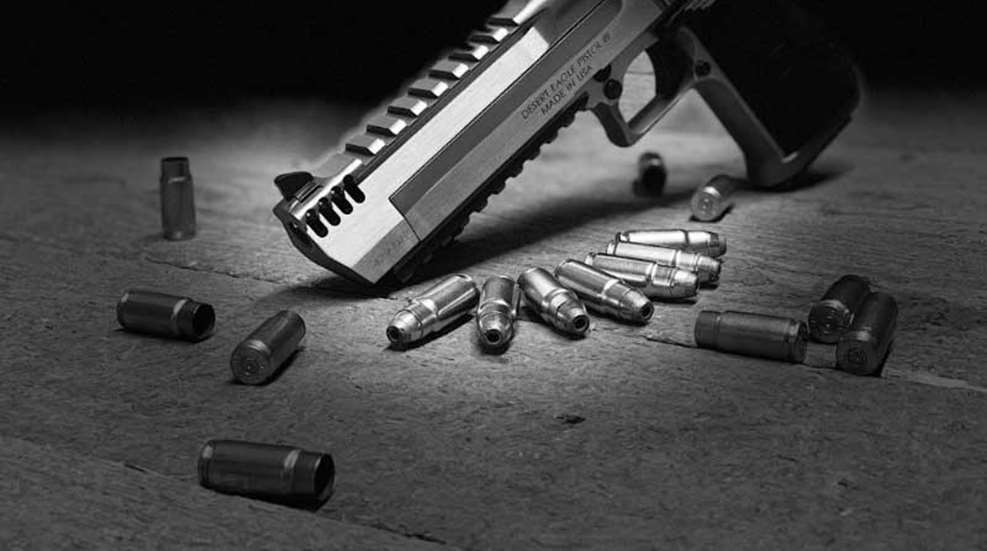 429-de-magnum-research-f.jpg