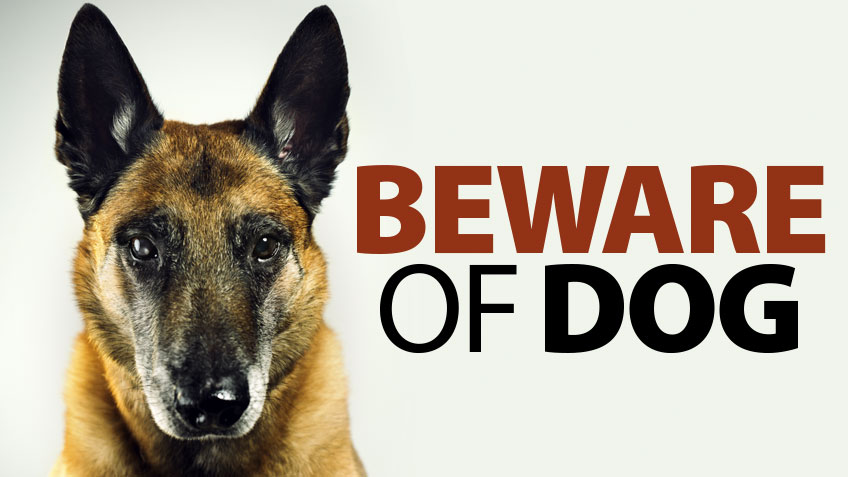 Crosswinds k9 sales