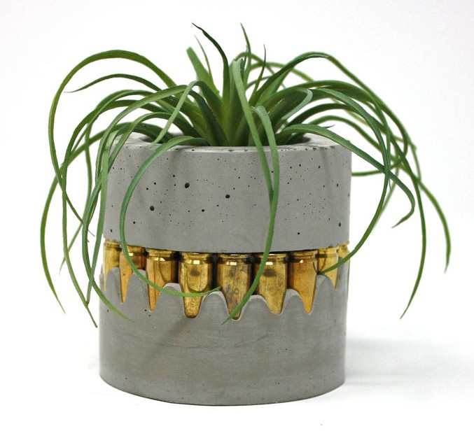 Concrete Bullet Cup Air Plant