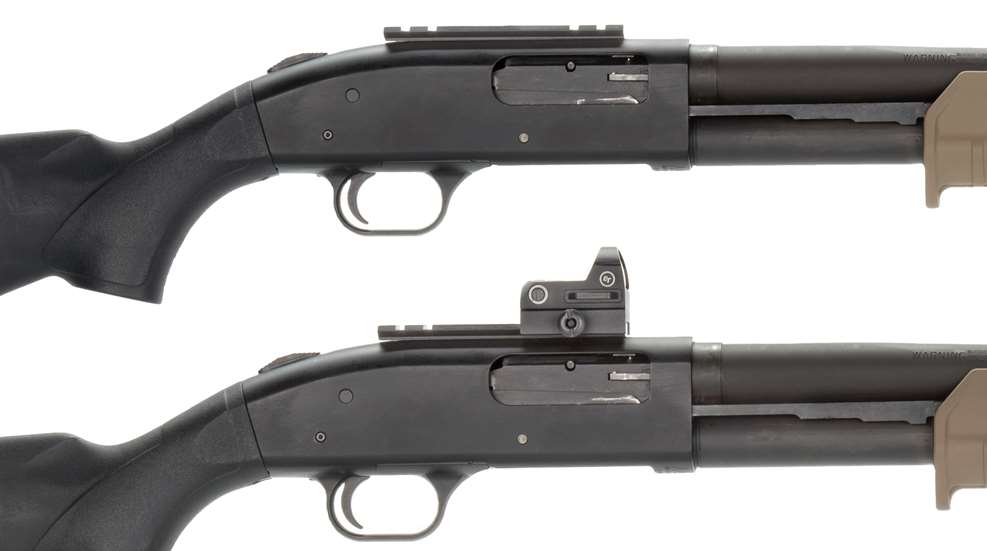 shotgun sights