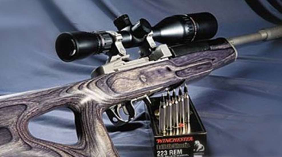 gn_sar_ruger_mini14_target_rifle-354x200.jpg