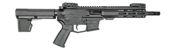 Armalite AR19