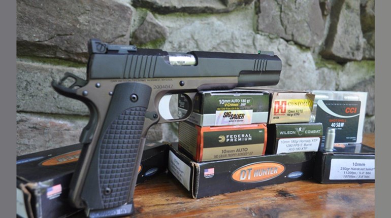 Review: Dan Wesson Bruin 1911 Pistol in 10 mm | An Official Journal Of The NRA