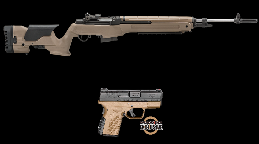 sa-fde.png
